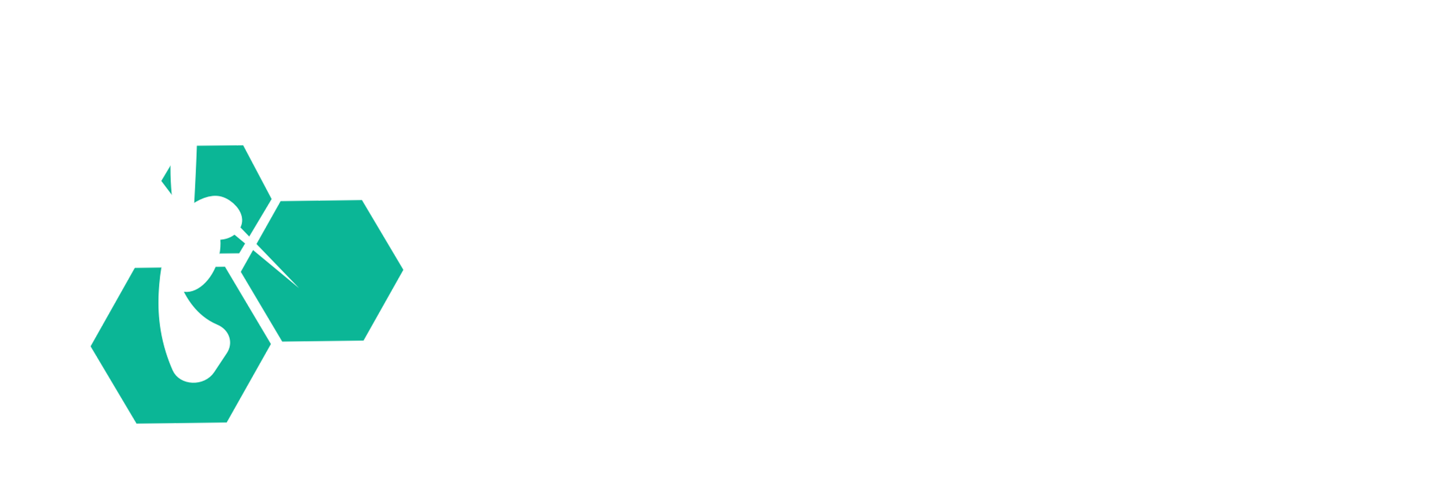 Solidarity Economy Association